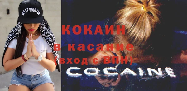 индика Балабаново