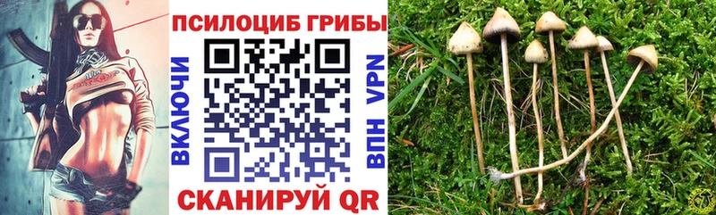 Галлюциногенные грибы мицелий  Козьмодемьянск 